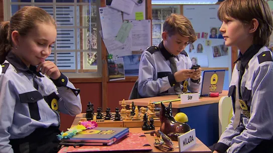 Kid‘s Traffic police